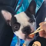 Louis Rushing - @cali1838 - Instagram