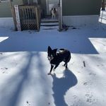 Lou Ann Gilliam Sales - @lou.sales - Instagram