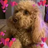 loushaw486 - @loushaw486 - TikTok