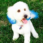 Lucy Lou Simmons - @lucy_lou_simmons - Instagram