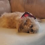 Louanne Sinclair - @sinclairlouanne - Instagram