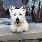 Marilou Skaggs - @marilou.skaggs - Instagram