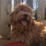 Sadie Lou Skaggs - @sadie_lou_skaggs - Instagram