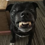 Louise Broadway - @loustanley7707 - Instagram