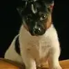 louistempesta812 - @louistempesta812 - TikTok