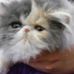 Lou Tyson - Facebook