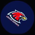 Lvr esports - @louver_esports - Instagram