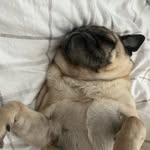 Lou Walters - @louwaltersx - Instagram