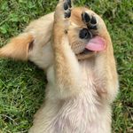 Walter Lou - @adventures_of_walterlou - Instagram