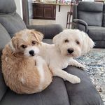 Mary Lou Weber Welsh - @louiebird1 - Instagram