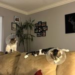 Louise Weiss - @louweiss - Instagram