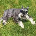 Louie Welsh - @lou_welsh10 - Instagram