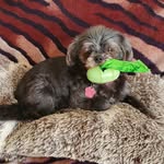 Lilly lou whitehead - @lillylouwhitehead - Instagram