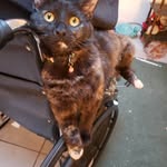 Lou Rae Whitehead - @louraewhitehead - Instagram