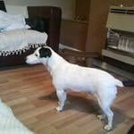 Louise Loopy Lou Whitehead - @louisewhitehead88 - Instagram