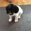 Louise Whiting408 - @lou.whiting - TikTok