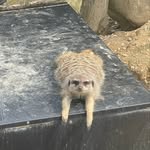 Lou Wise - @lou.gmp - Instagram