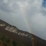 Lou Wolf - @_lou_wolf - Instagram
