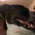 Louann Evans - Facebook