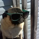 maddyx louann evans - @penguinpug10_awesome - Instagram