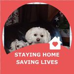 Louann Moore - @louann.moore.5030 - Instagram