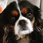 LouAnn Moore - @lulunycusa - Instagram