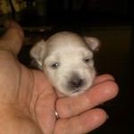 Louann Moore - @moore.louann - Instagram