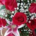 Louann Perri - Facebook