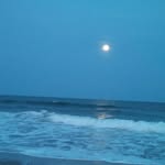 Lou Ann Wilson - @louann.wilson.520 - Instagram