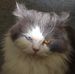 LouAnne Patrick - Facebook