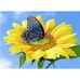 Louella Castro - Facebook