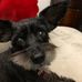 Lola Hopper - Facebook