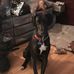 Louella Williams - Facebook