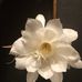 Louetta Smith - Facebook