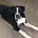 Louie Cabrera - @louiecabrera23 - Instagram