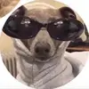 Louie Dillon - @loudillonx - TikTok