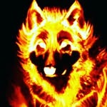 LOUIE FLEMING - @outlaw_panda - Instagram