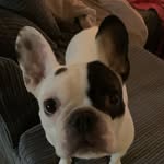 Louie fleming - @louiss_fleming - Instagram