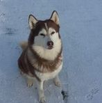 Louie Fleming - Facebook