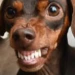 Louie Hall - @louie_hall_iii - Instagram