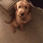Louie Hall-Bentley - @l.hallbentley - Instagram