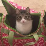 @louiehuff15 - Instagram