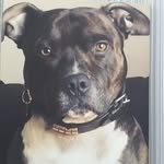 Louie Johnson - @louiejohnson0409 - Instagram