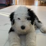 Louie Johnson - @louie.oes - Instagram