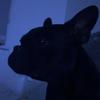 louiejohnson973 - @louiejohnson973q284 - TikTok