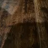 Louise - @louie.johnson41 - TikTok