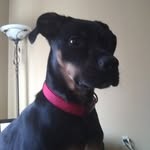 louie larson - @louieissosocool - Instagram
