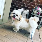Louie Larson - @louie.larson - Instagram