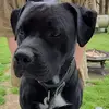 Kessler Logan921 - @bubbalouielogan - TikTok