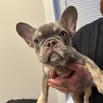 Louie - @louie.lyons - Instagram
